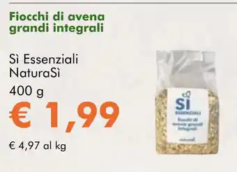 NaturaSí Fiocchi di avena grandi integrali oferta
