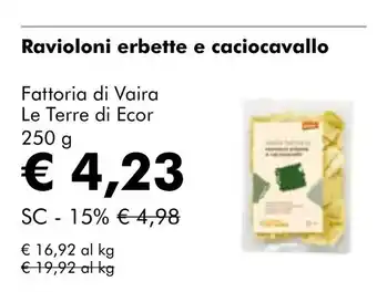 NaturaSí Ravioloni erbette e caciocavallo oferta