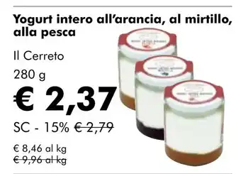 NaturaSí Yogurt intero all'arancia, al mirtillo, alla pesca oferta