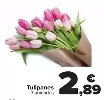 Carrefour Tulipanes oferta