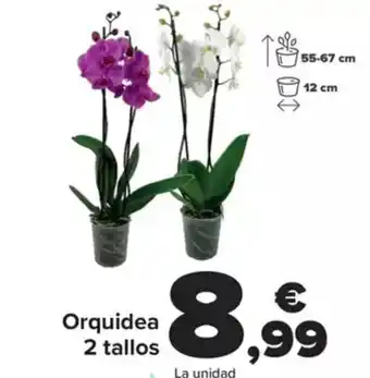 Carrefour Orquidea 2 tallos oferta