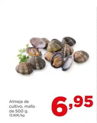 Alimerka Almeja de cultivo, malla de 500 g oferta