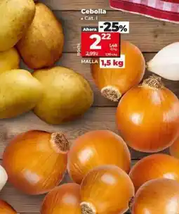Dia CEBOLLA oferta