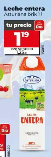 Dia Leche entera oferta