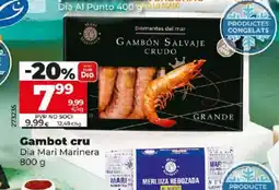 Maxi Dia Gambot cru oferta