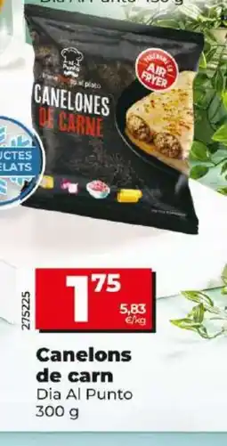 Maxi Dia Canelons de carn oferta