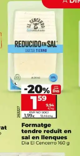 Maxi Dia Formatge tendre reduit en sal en llenques oferta