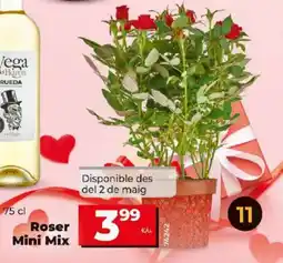Maxi Dia Roser Mini Mix oferta