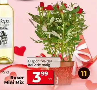 Maxi Dia Roser Mini Mix oferta