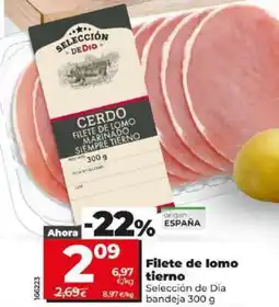 Dia Filete de lomo tierno oferta