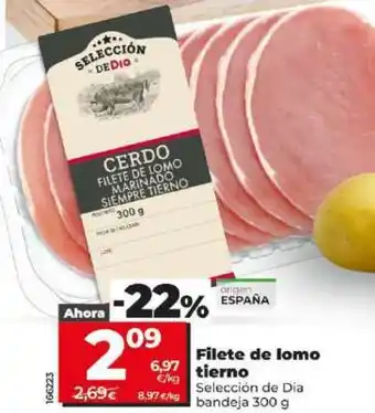 Dia Filete de lomo tierno oferta