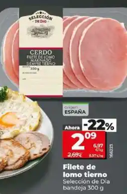 Dia Filete de lomo tierno oferta