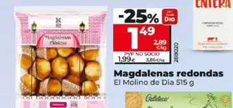 Dia Magdalenas redondas oferta