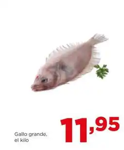 Alimerka Gallo grande, el kilo oferta