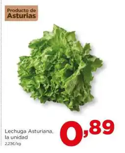 Alimerka Lechuga Asturiana, la unidad oferta
