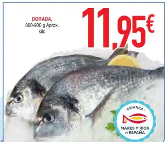 Masymas Dorada oferta