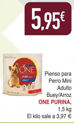 Masymas ONE PURINA Pienso para Perro Mini Adulto oferta