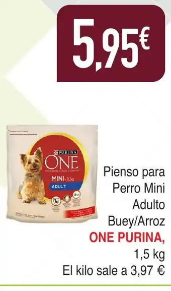 Masymas ONE PURINA Pienso para Perro Mini Adulto oferta