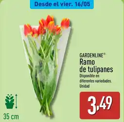 ALDI GARDENLINE Ramo de tulipanes oferta