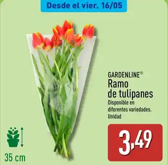 ALDI GARDENLINE Ramo de tulipanes oferta