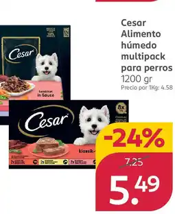 Rossmann CESAR Alimento húmedo multipack oferta