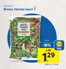 Lidl CHEF SELECT Brotes tiernos maxi oferta