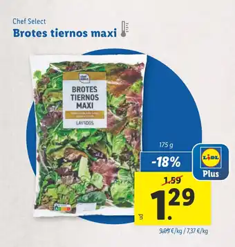 Lidl CHEF SELECT Brotes tiernos maxi oferta