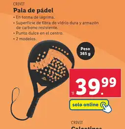 Lidl CRIVIT Pala de pádel oferta