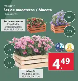 Lidl Set de maceteros / Maceta oferta