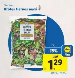 Lidl Brotes tiernos maxi oferta