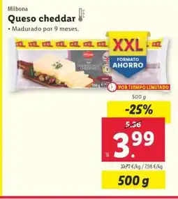 Lidl Queso cheddar oferta