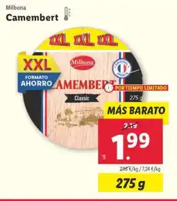 Lidl Camembert oferta