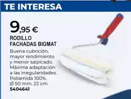 BigMat Rodillo fachadas bigmat oferta