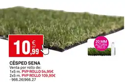 Bricoking Césped sena oferta