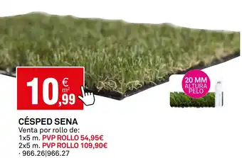 Bricoking Césped sena oferta