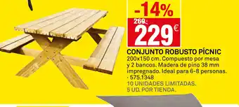 Bricoking Conjunto robusto pícnic oferta