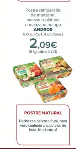 Carrefour ANDROS Postre refrigerado de manzana, manzana-plátano o manzana-mango oferta
