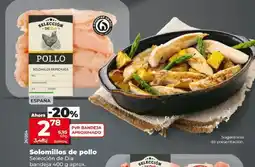Dia Seleccion de dia - solomillos de pollo oferta