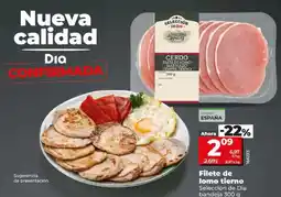 Dia Seleccion de dia - filete de lomo tierno oferta