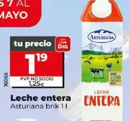 Dia Asturiana - leche entera brik 1 l oferta
