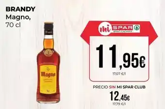 SPAR Gran Canaria Magno - brandy oferta