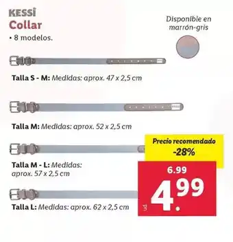 Lidl Kessi - collar oferta