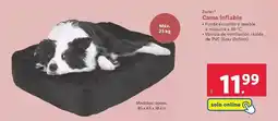 Lidl Zoofari - cama inflable oferta
