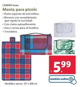 Lidl Livarno home - manta para picnic oferta
