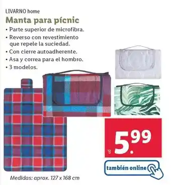 Lidl Livarno home - manta para picnic oferta