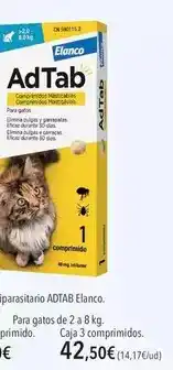 Tien 21 Hisense - tv mini led oferta