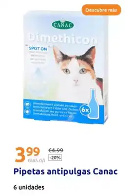 Action Canac - pipetas antipulgas oferta