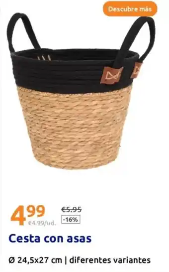 Action Cesta con asas oferta