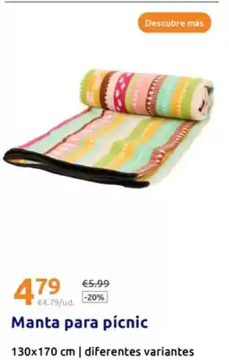 Action Manta para picnic oferta