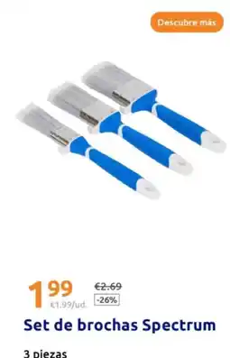 Action Spectrum - set de brochas oferta